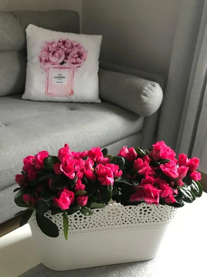 Glamour Apartment Przy Plazy, Z Parkingiem Prywatnym Sopot